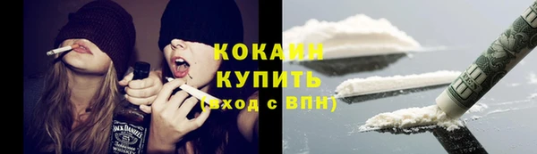 кокс Гусев