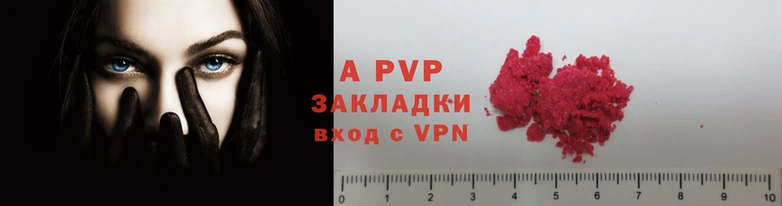 кокс Гусев