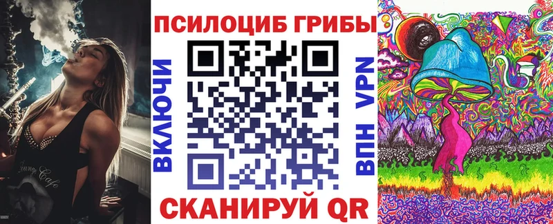 Псилоцибиновые грибы Psilocybine cubensis Певек